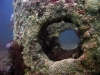 Florida Reef Structure