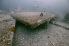 Double T Reef Structure