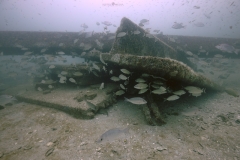 Reef pile