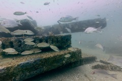 Concrete Artificial Reef Structures