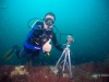 6-kistel-photos-engle-reef