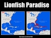 4 Lionfish Non-native Range