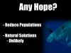 7 Any Lionfish Solutions