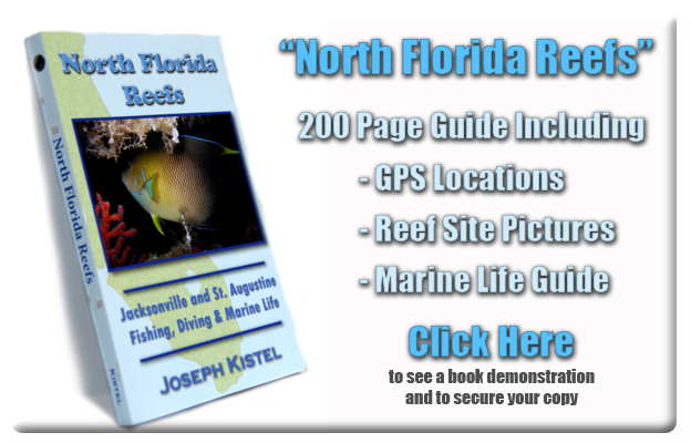 North Florida Reefs - the book