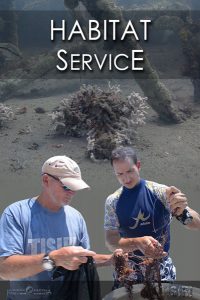 Reef Service
