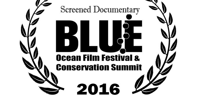 “Sunken Conservation” at Blue Ocean Film Festival