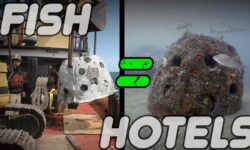 New Reef Modules Deployed