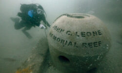 New Reef Modules Landed on Target